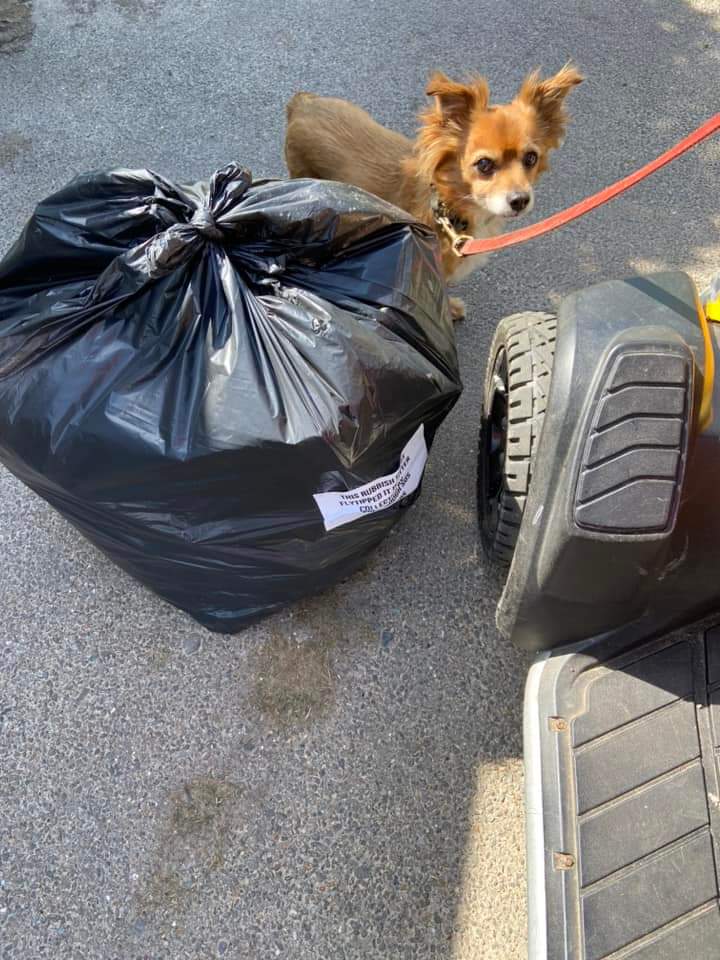 SosSouthborough's tweet photo. Just some of the 8 sacks already picked up by one of our volunteers off the streets of High Brooms this week. @KeepBritainTidy @Tunbridgewells #tunbridgewells #litter #streetclean #streetscene #litterpicking #litterheroes #lovewherwelive https://t.co/xWDAl2esuE