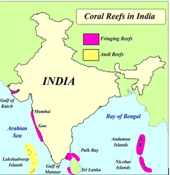 Why coral reefs in India are undergoing severe bleaching?

Coral reefs are among the most biologically diverse marine ecosystems on Earth. 
Corals grow throughout geological time spans and have been around for around 200 million years.
Coral reefs are vital components of the