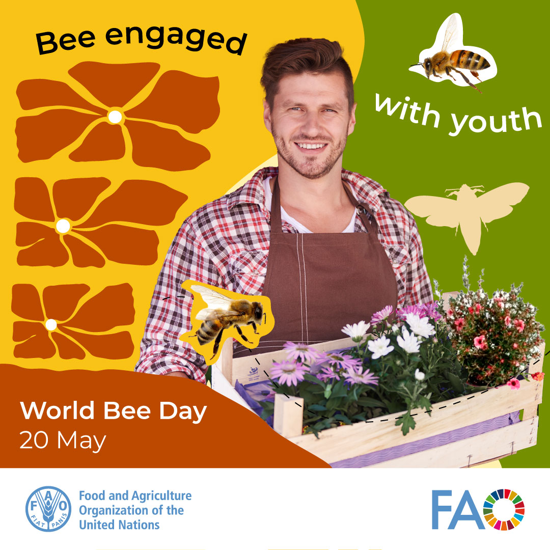 Youth play a vital role in shaping the future of beekeeping. Developing beekeeping programmes for youth can help identify emerging talents in apicultural research and cultivate their leadership, extension and project management skills. 🐝 bit.ly/4aFZ4Zx #WorldBeeDay