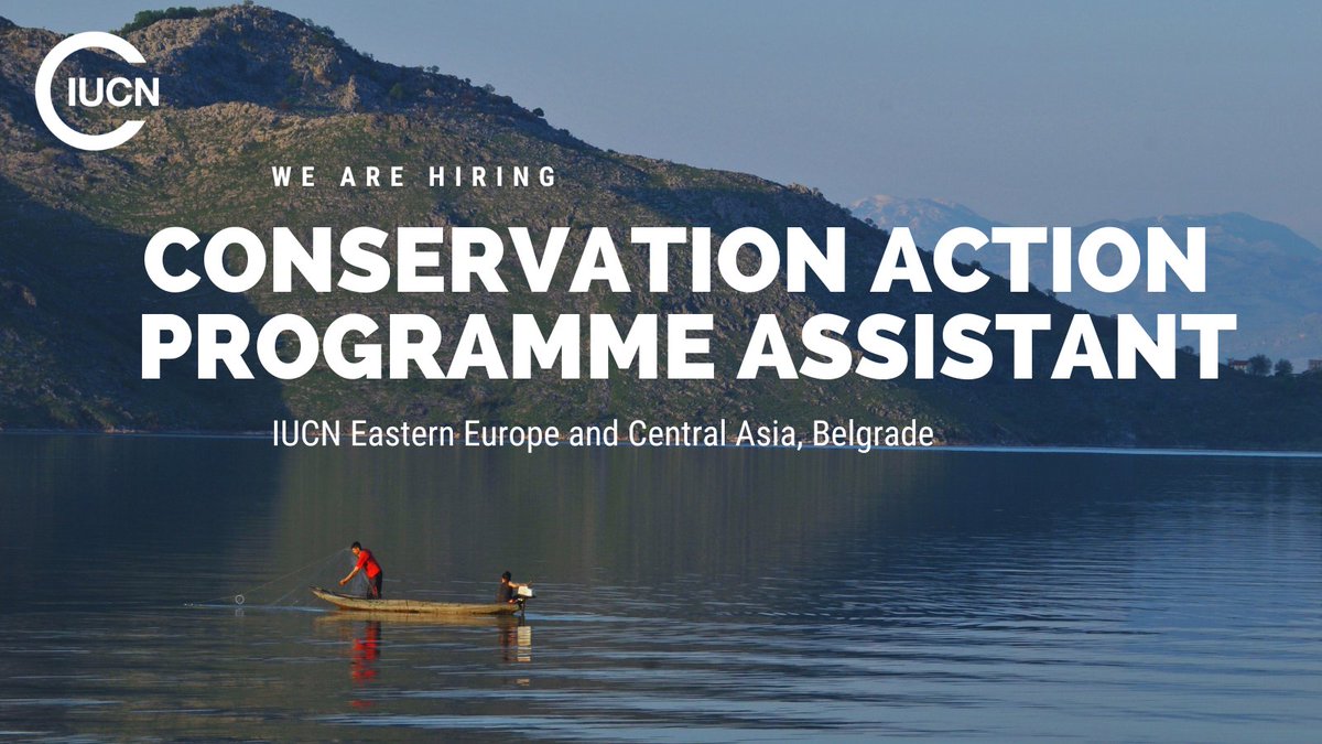 #job opportunity! We are looking for a Conservation Action Programme Assistant, to support #ProjectManagement and coordination, and assist with internal procedures, admin, and logistics 🐝 For more info and to apply👉 bit.ly/3UQXA9G Closing date: 31 May #EnviroJobs
