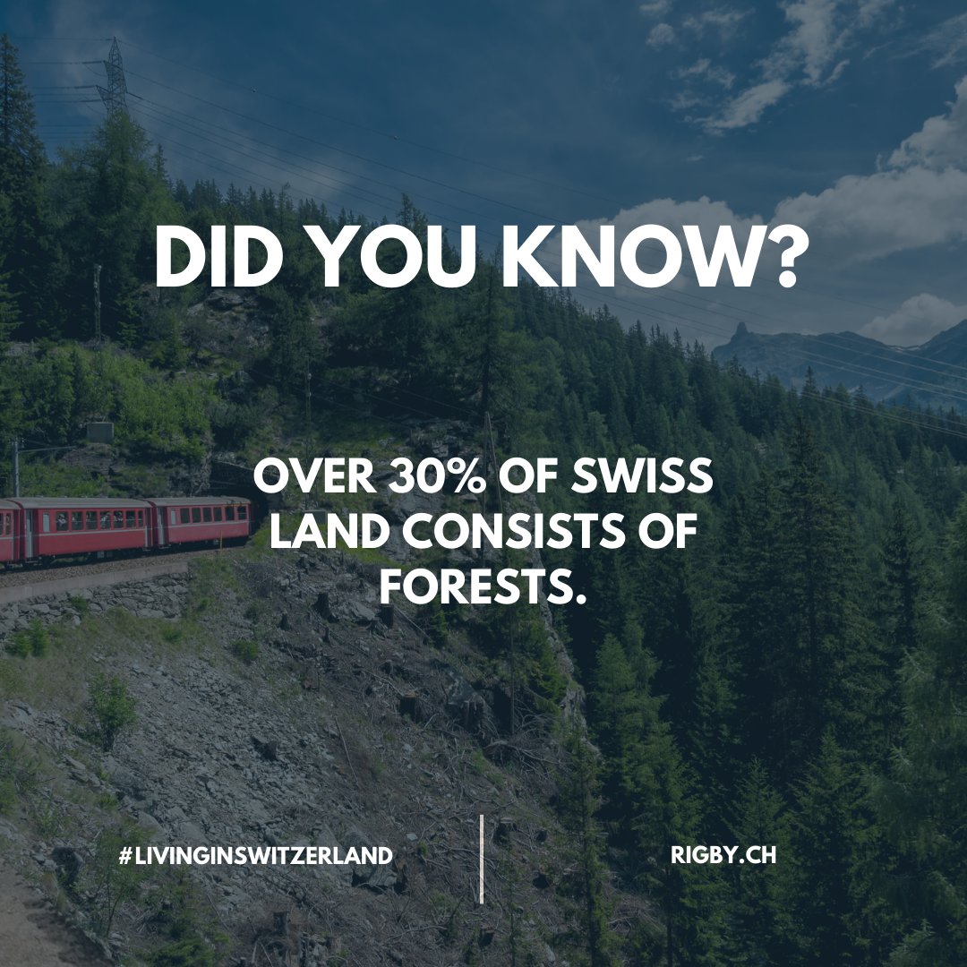 #FridayFact about #Switzerland: 

Because Swiss forests enjoy a lot of legal protection, they are virtually impossible to cut down. The surface area of woodland has increased dramatically in the last 150 years. 

#LivinginSwitzerland