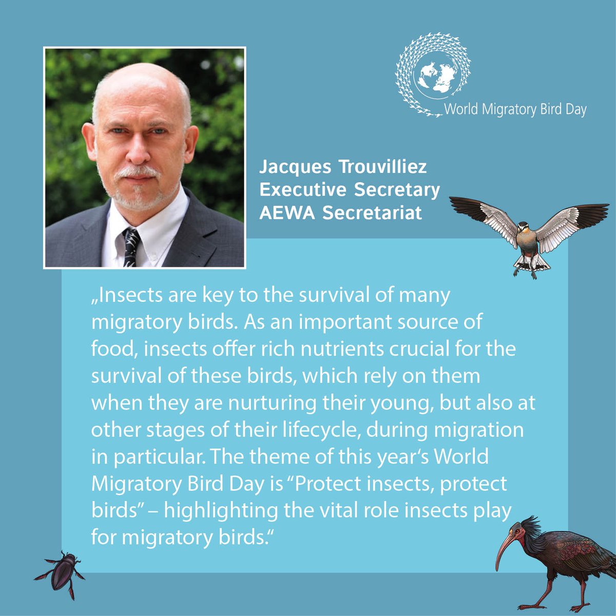#WorldMigratoryBirdDay is coming up tomorrow and focuses on the importance of insects for migratory birds. Insects offer rich nutrients crucial for the survival of birds, which rely on them when they are nurturing their young and during migration. ⬇️ worldmigratorybirdday.org