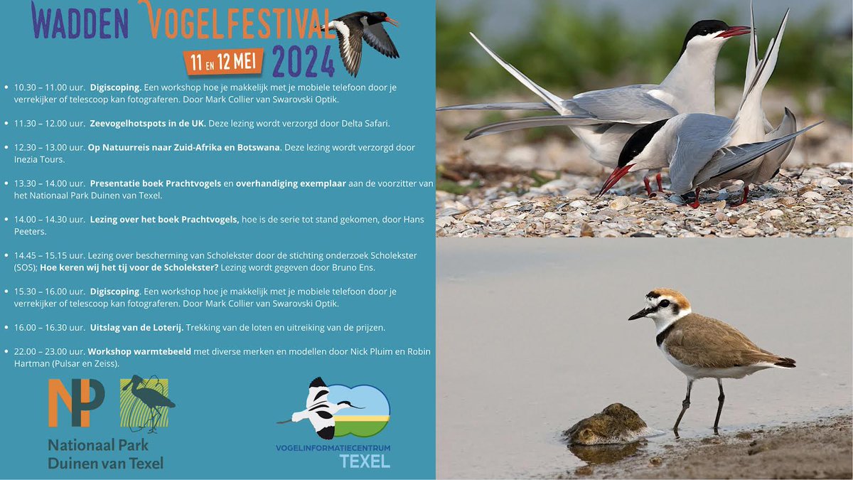 Plan je favoriete lezing in door het onderstaande schema van de lezingen tent op 11 mei op Waterplein in de Cocksdorp! Laat je oa meenemen door Zuid Afrika, Botswana of de UK of leer Digiscopen door Mark Collier! We zien jullie dit weekend op Wadden Vogelfestival van 2024!!