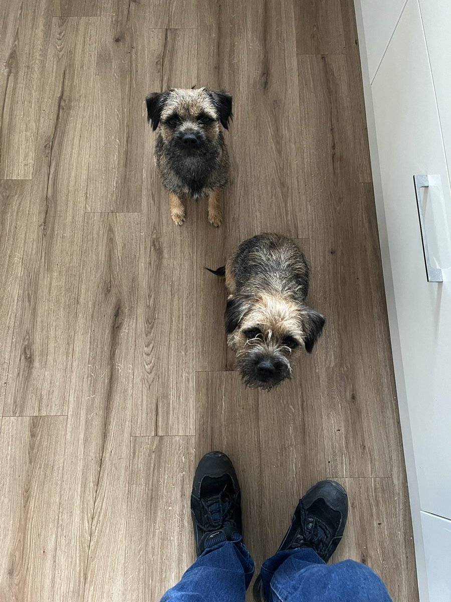 U have toast, we luv toast, you will give in to our begging #btposse