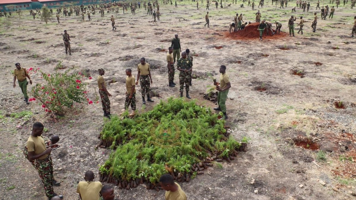 The Kenya  Police Administration Officers have taken part in National Tree-Planting Exercise.Kenya's commitment to reforestation has roared into life, with each of the eight regions making encouraging strides during this Upanzi Wa Miti . #NationalTreePlantingDay
#JazaMitiNaGava