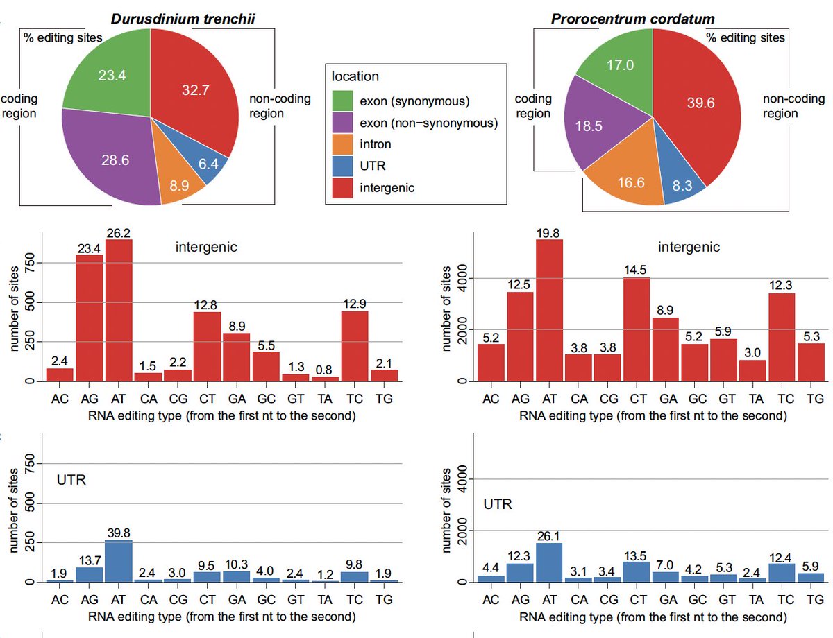 Our new work led by @YibiChen_Sci revealed conserved #RNA editing pattern in #dinoflagellates related to stress response, out @FrontiersIn Protistology today. @KEDougan @DebashB @ace_uq @RutgersSEBS The long+rigorous peer-review process has been helpful!

doi.org/10.3389/frpro.…