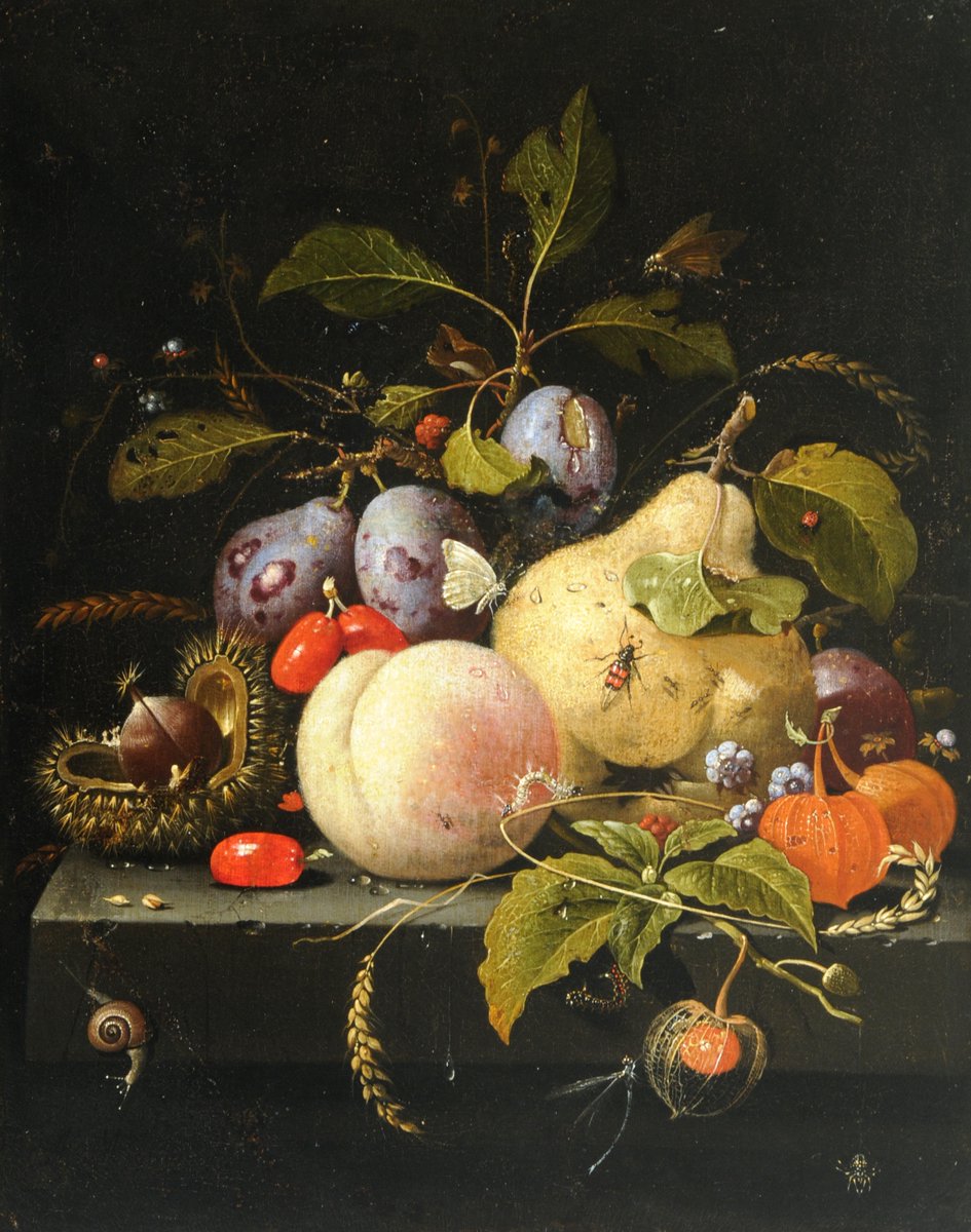 🧩 #MuseumJigsaws 🧩

Your puzzle for today is: 'Fruit and Insects' after Abraham Mignon

Simply follow this link ➡ bit.ly/CooperJigsaw14…

Mignon came from Frankfurt at an early age and spent his whole active career in Utrecht, where he specialised in still life pictures.