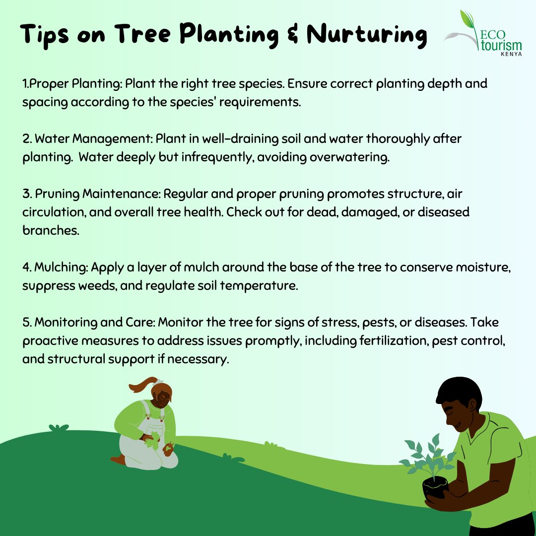 Tips on Tree Planting & Nurturing 🌱 Proper Planting 🌱 Water Management 🌱 Pruning Maintenance 🌱 Mulching 🌱 Monitoring and Care See the poster below for the details for each tip. #TreePlantingDay #JazaMiti