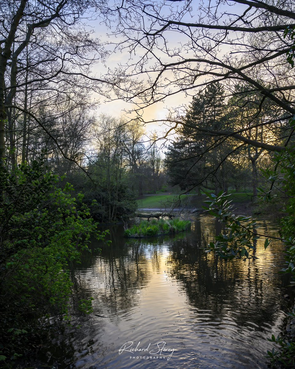 Beautiful end to the week in Sefton Park 📸 #seftonpark #liverpool #merseyside #landscapephotography