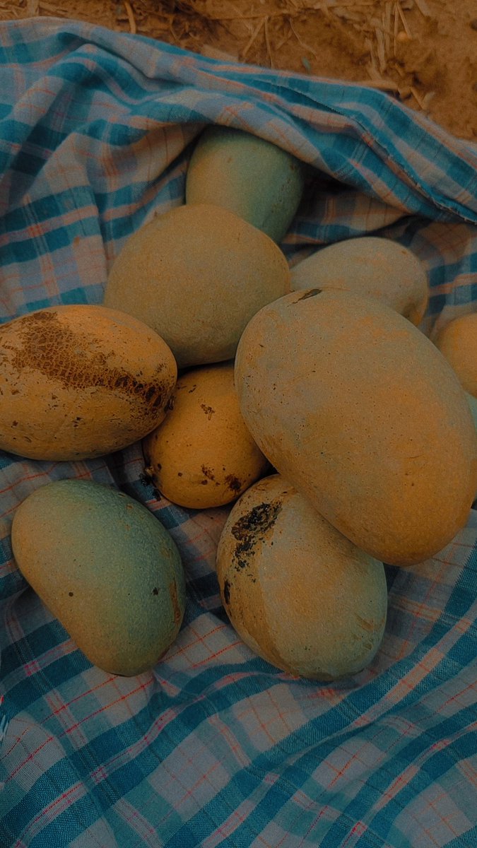 Mr_Sc0ut45's tweet image. Yentaina Village antey Village ney 💚

#villagevibes