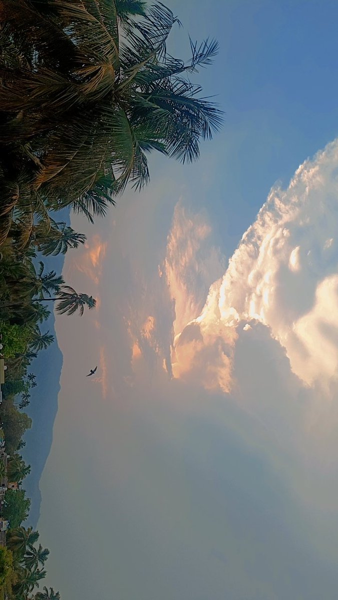 Mr_Sc0ut45's tweet image. Yentaina Village antey Village ney 💚

#villagevibes