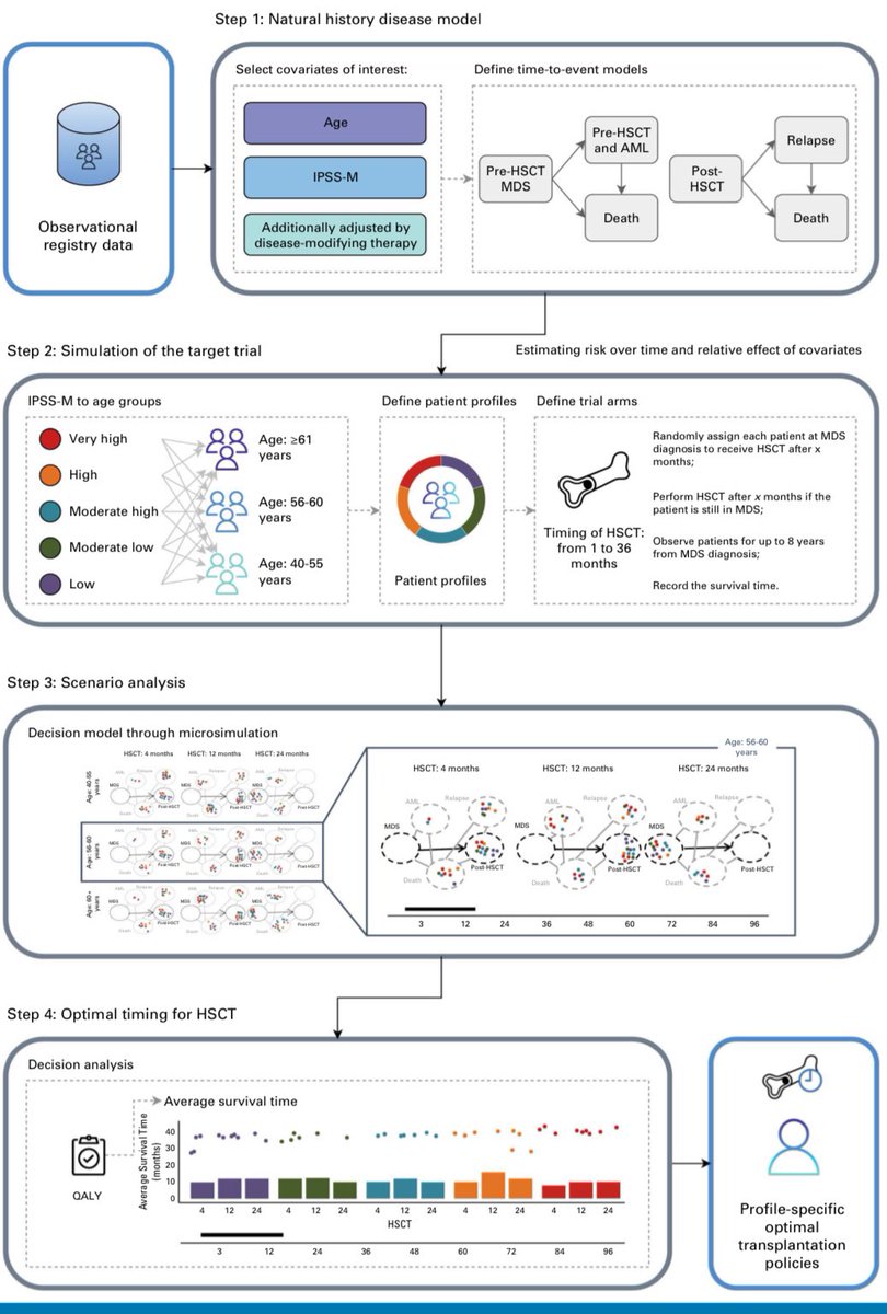 Fresh off the press🎉🎉Clinical and Genomic-Based Decision Support System to Define the Optimal Timing of Allogeneic Hematopoietic Stem-Cell Transplantation in Patients With Myelodysplastic Syndromes | @JCO_ASCO ascopubs.org/doi/pdf/10.120…