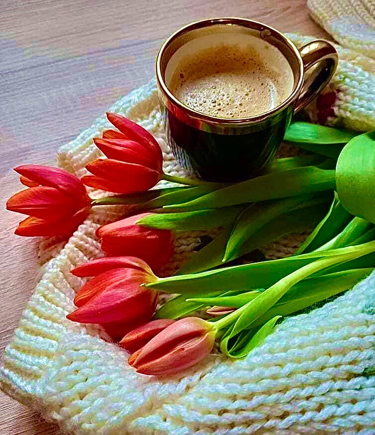 Good Morning friends ☕️🌹🌹
Have a wonderful day ……
#HappyFriday 🌹🌹🌹🌹🌹😘