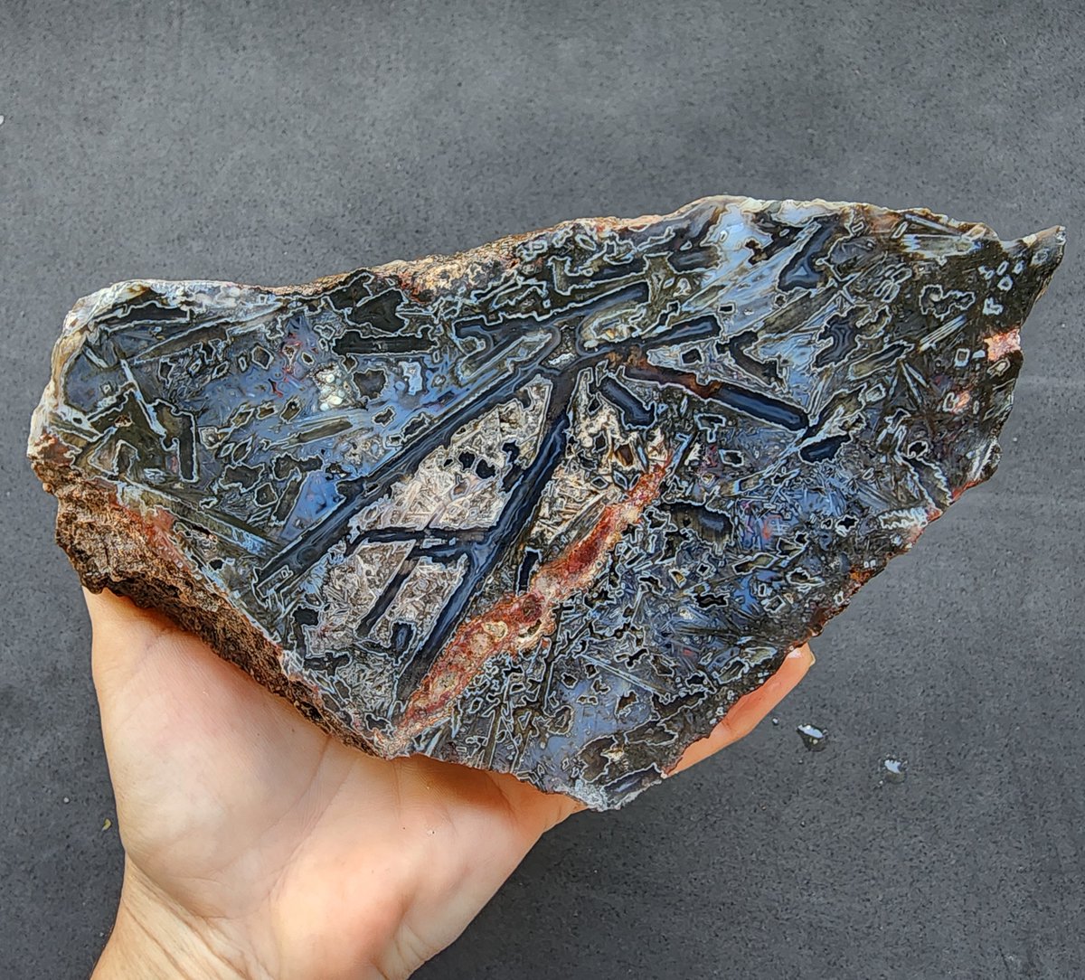 SrlGemstone's tweet photo. Incredible beauty. Large Blue Stick / Tube Agate
#interiordecor #interiordecor #agate #achate #agate #decor #healingstone #blueagate #largeagate #rawagate #lapidary #lapidaryart #agateforslab #rockhounding #rockhound #geology #NatureLover #natural #photography #nature https://t.co/rxhG2V4bkD