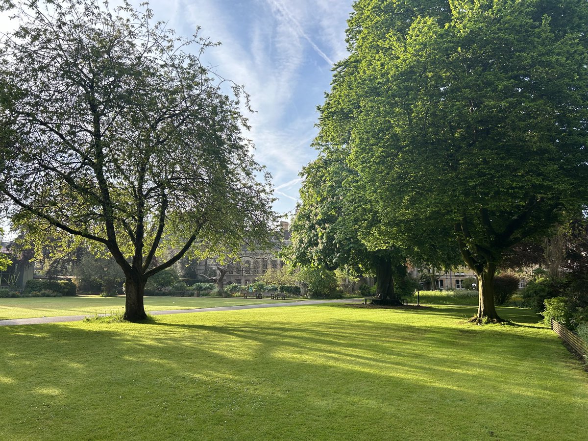 The serenity of ⁦@BalliolOxford⁩