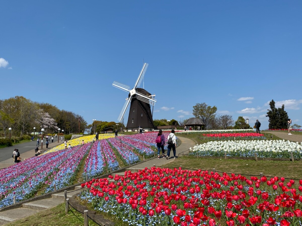 大阪市鶴見区
花博記念公園
鶴見緑地😊