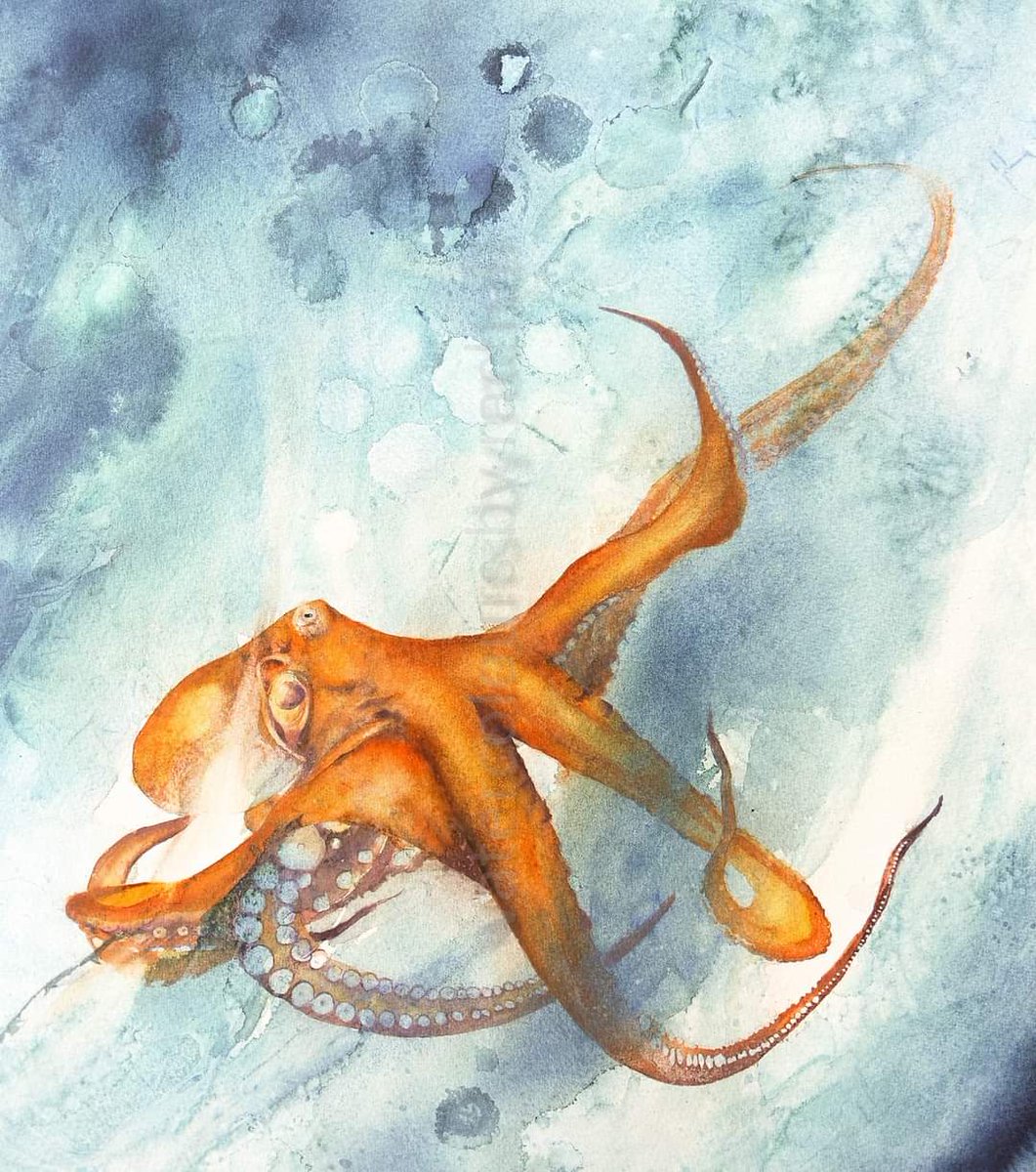Under the sea x Happy Friday x #watercolour #octopus #watercolourpainting #ocean #movement #water #sea #wildlife #wildlifeart #tentacles #underwater #painting #art #inspiration #paint #art