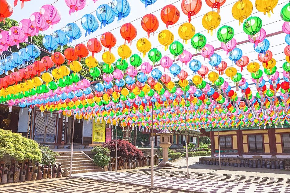twittkto's tweet photo. 韓国仏教最大の祭典「燃灯会」が韓国各地で開催！
5/15(旧暦4/8)の釈迦誕生日を前に韓国は今、お寺だけでなく街中にもランタンが飾られお祭りムードいっぱい✨
日程など詳細👉 https://t.co/ZJCSdLgcni
(ソウルの燃灯行列は5/11(土)午後7時～:興仁之門(東大門)～鐘路の大通り～曹渓寺) https://t.co/nU2KGIDIct