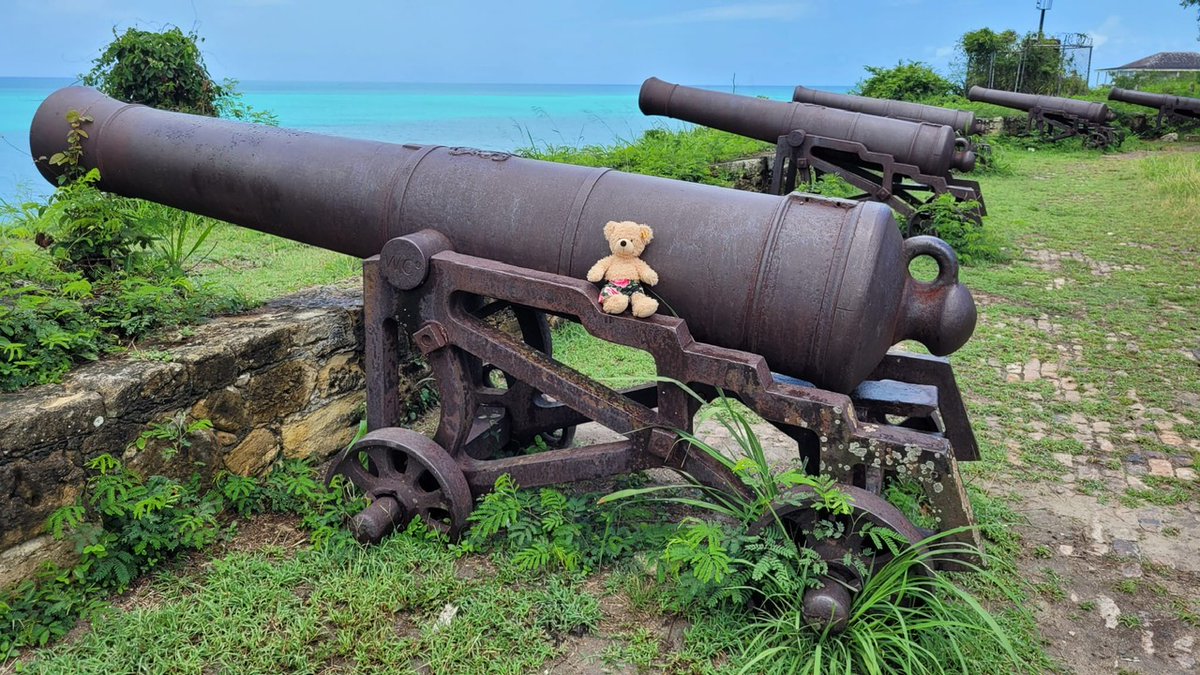 These will keep those damn pirates away! #Flynn #FlynnTheBear #Antigua