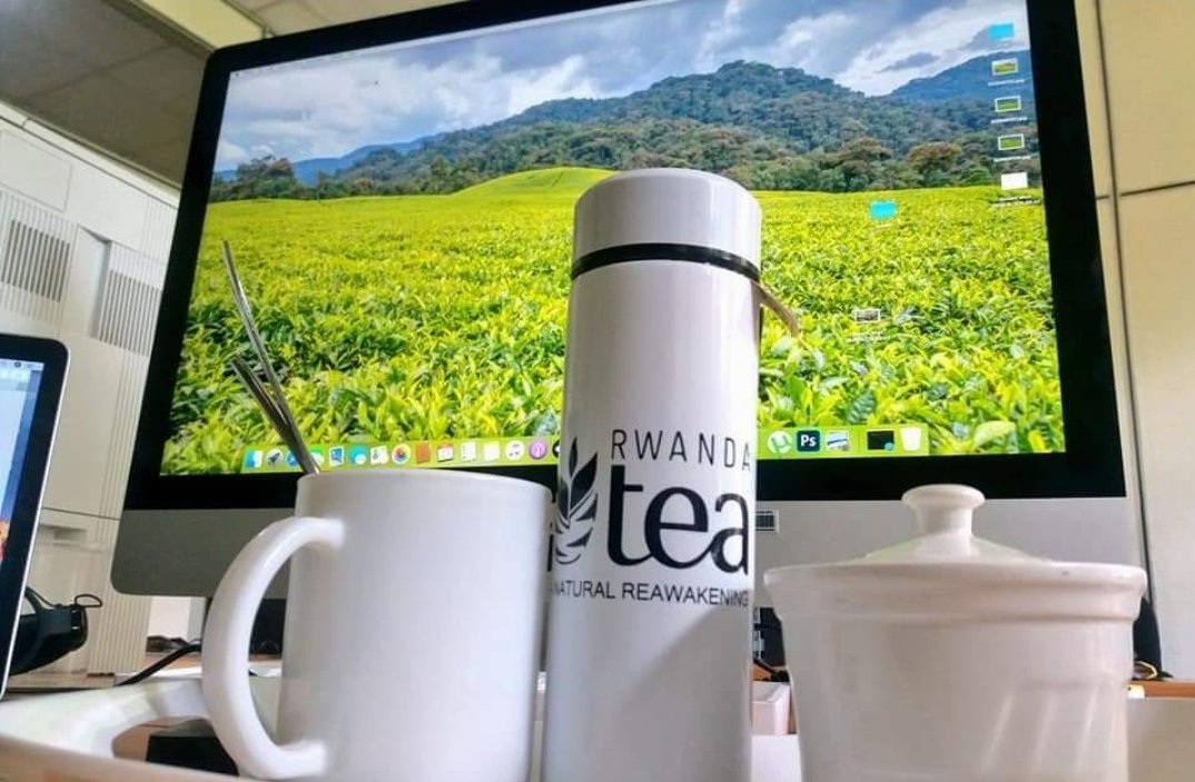 Start your day right with the exquisite taste of Rwanda Tea! 🍵 Renowned for its rich flavor and quality, it's the perfect companion for your morning routine. Don't miss out – make sure your office is stocked with the best! #RwandaTea #MorningDelight 🍵🫖☕️ 📸 @MazimpakaJp