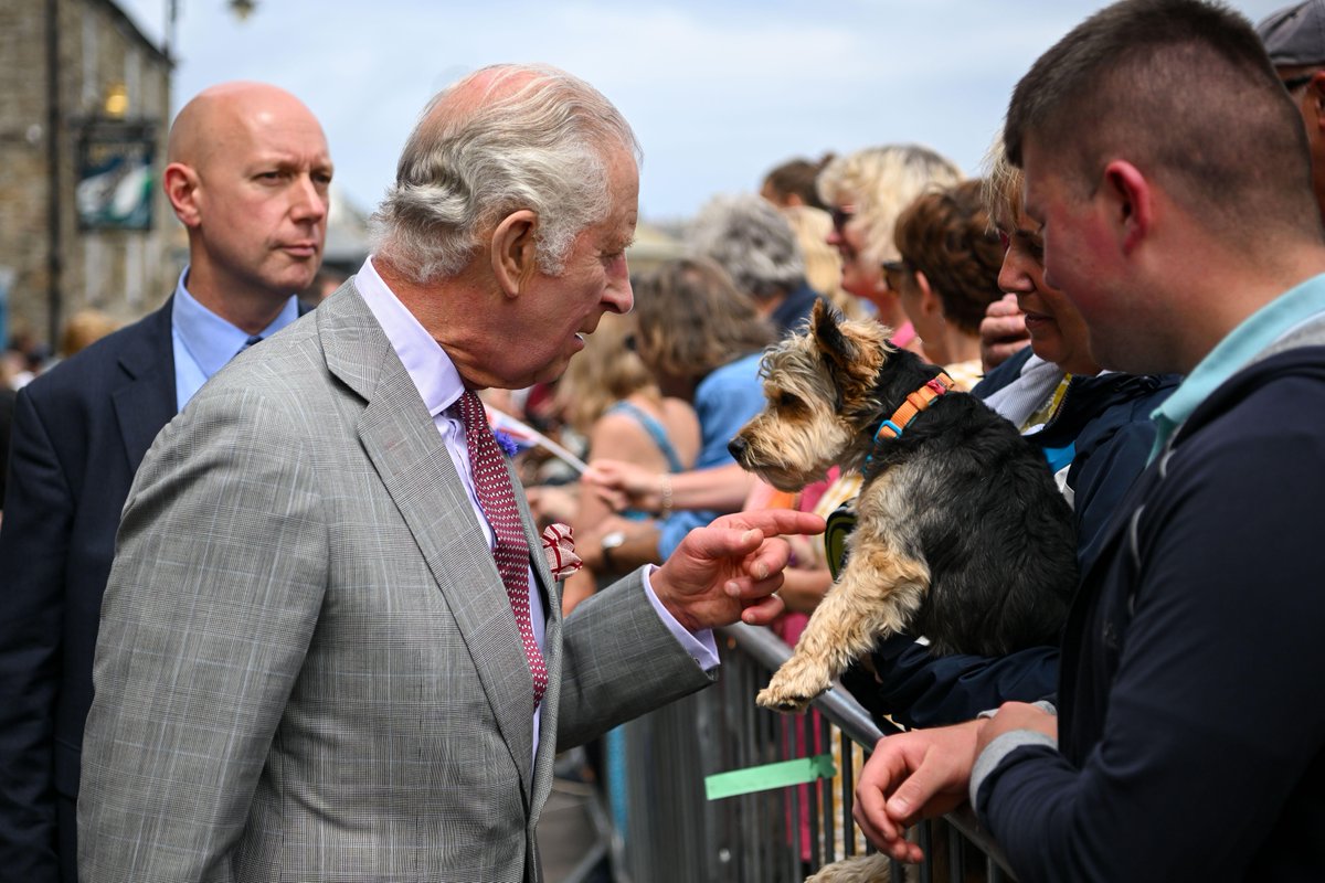 We're immensely honoured that His Majesty King Charles III has chosen to be our new Patron! The Monarch has used his passion for nature and wildlife to be a powerful voice for conservation and we're delighted for the @RoyalFamily's continued support for animal welfare 🥳