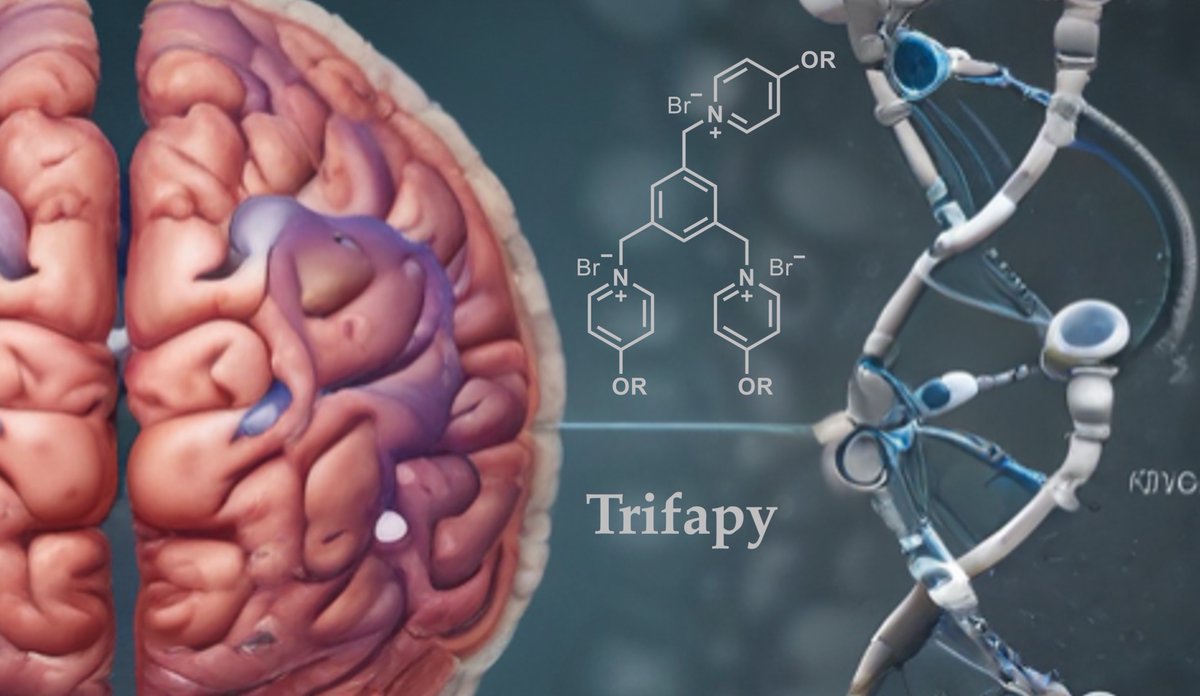 #RecentlyPublished Read now ➡️ 'TRIFAPYs as Transfectants of Therapeutic Oligonucleotides' by Véronique Noé, et al. The article 👉 brnw.ch/21wJDQU