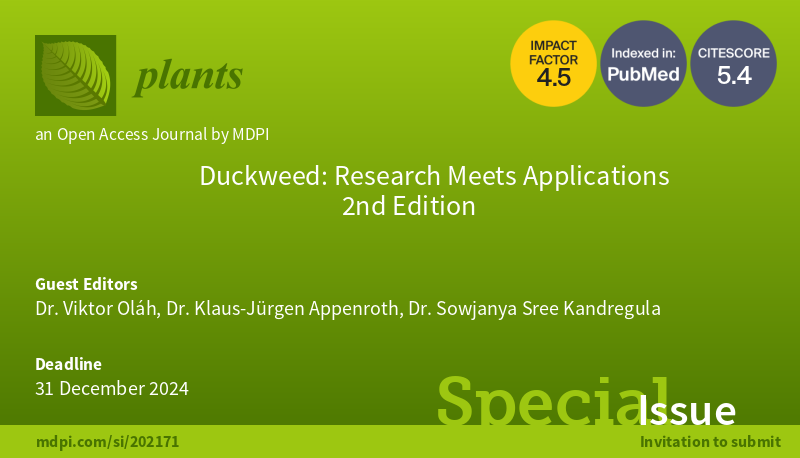 Plants_MDPI's tweet image. The second volume of the Special Issue “Duckweed: Research meets Applications II”  is now open for submissions! 

📆 Deadline for manuscript submissions: 31 December 2024 

📑 Read more about the Special Issue: brnw.ch/21wJDRI 

#duckweed  #ecotoxicology  #remediation