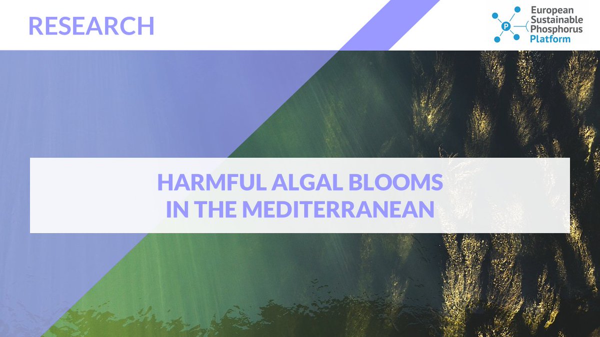 Review of data suggests that #toxic #algae events are #not #frequent in the Mediterranean Sea whereas #algal #blooms risk impacting #tourism, including with mucilage, water discoloration and anoxia events. Learn more 👉 lnkd.in/dukQWc89