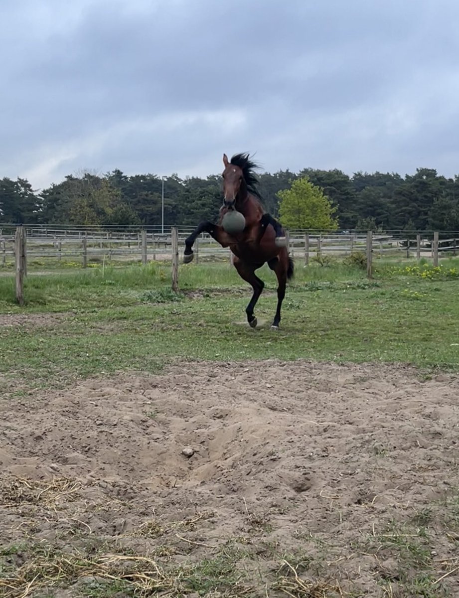 Godmorgon från Vomb och Emon Face 😍🤩