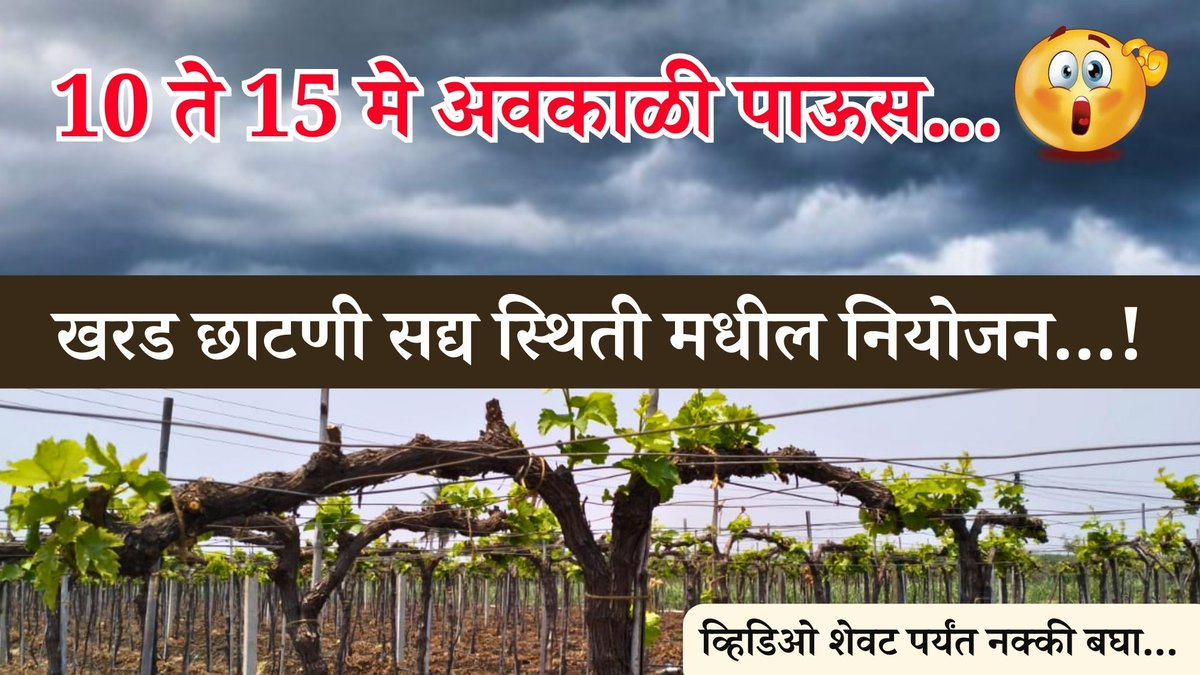 GrapeMaster2's tweet photo. नमस्कार शेतकरी बंधूंनो,
आजचा आपला विषय आहे :-
10 ते 15 मे #अवकाळी #पाऊस #खरड #छाटणी सद्य स्थिती मधील #नियोजन ...!
व्हिडिओ शेवट पर्यंत नक्की बघा...
https://t.co/b7yDRd9WkM
.
.
.
#farmersolutio #CropSolutions #grapesolution #plantgrowth #grapes #agriculture #agrisolution https://t.co/tDr6aJW3fv