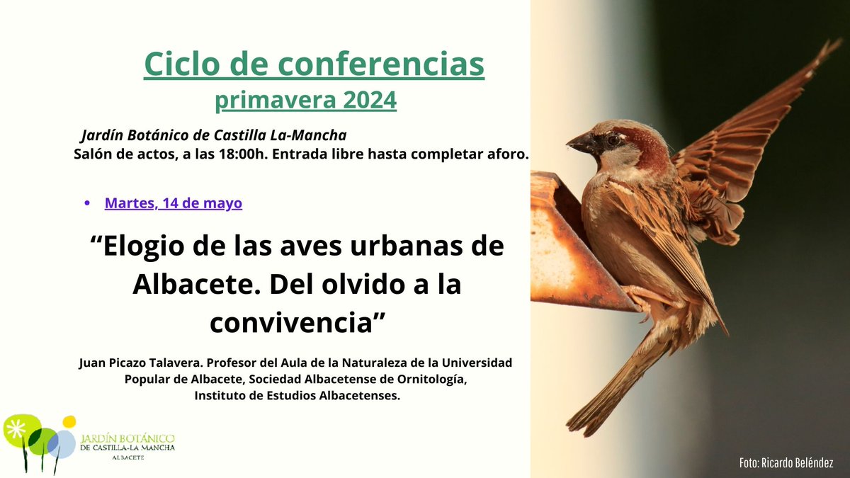 Os invitamos a la segunda conferencia de primavera 2024🌹.

Toda la información en la imagen.

😊¡Os esperamos!😊

#jardinbotanicoclm #Conferencias #aves #avesurbanas #Albacete #castillalamancha