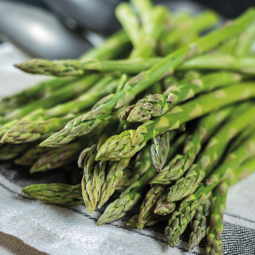 Coghlans at Barningham (@coghlanscandb) on Twitter photo What will you make with your <a href="/TheFoodHeroes/">The Food Heroes</a> English Asparagus?
we have made chicken in white wine and asparagus sauce served with Asparagus on the side, lovely spring time supper What will you make with your <a href="/TheFoodHeroes/">The Food Heroes</a> English Asparagus?
we have made chicken in white wine and asparagus sauce served with Asparagus on the side, lovely spring time supper