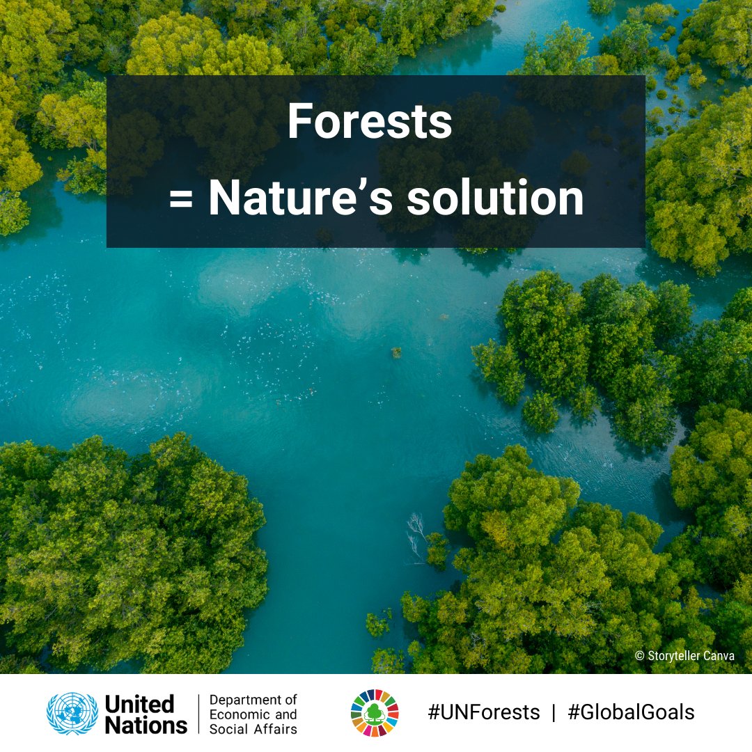 Forests = Nature’s solution! 

We need more 🌲🌳 so that we can turn the tide on:

🔥 Climate change

🦋 Biodiversity loss

🕱 Pollution

🍎 Hunger

Learn more about why healthy forests are critical for a healthy planet.

un-redd.org

#UNForests #SaveForestsNow