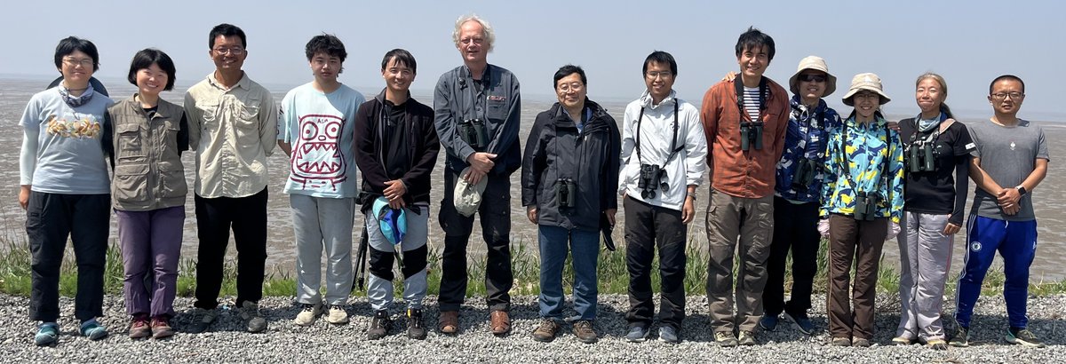 Shorebird scientists are like #shorebirds: in small flocks they exchange relevant information & eat together. With 150 red #knots & 50 curlew sandpipers behind them, @globalflyway, Beijing Normal Univ., Team Peng & @TongMu_17 post on Nanpu seawall, Luannan county, China, 08May24