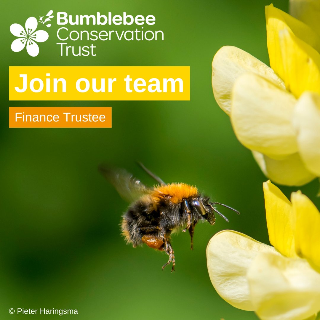The Trust is looking for a Trustee with experience in Finance to join our Board. This is a voluntary position but offers an exciting opportunity to assist a dynamic charity to develop its conservation and science work in the UK. Full details: ow.ly/FCYo50RkWn5
