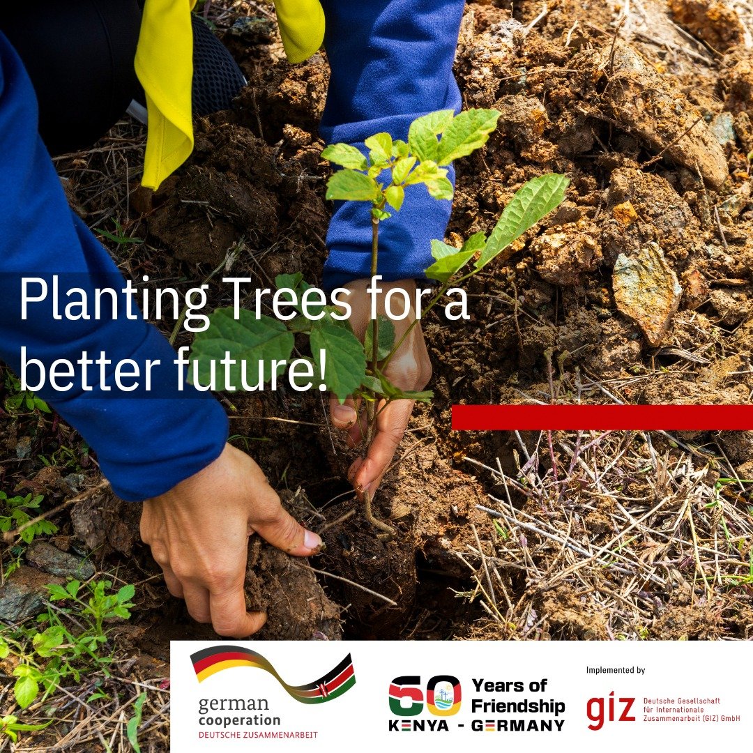 🌱Roots for the future: Plant a tree today! 🇩🇪🇰🇪Today, we stand in solidarity with those affected by the recent floods! @giz_gmbh #Kenya we recognise that growing trees is a vital long-term solution to combating #climatechange & its devastating impacts on lives & livelihoods.