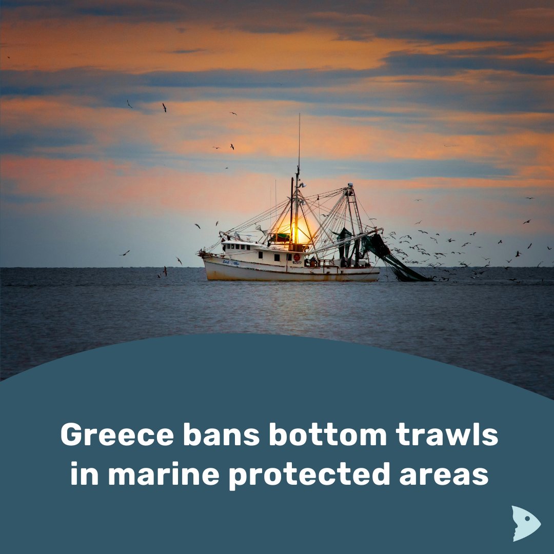 Greece introduces ban on bottom trawls in marine protected areas! 🌊 An important measure to protect our seas and their inhabitants.

➡️ Find out more: shorturl.at/hnIU3

📷: Mark Stebnick - Pexels.com

#oceanprotection #environmentalprotection