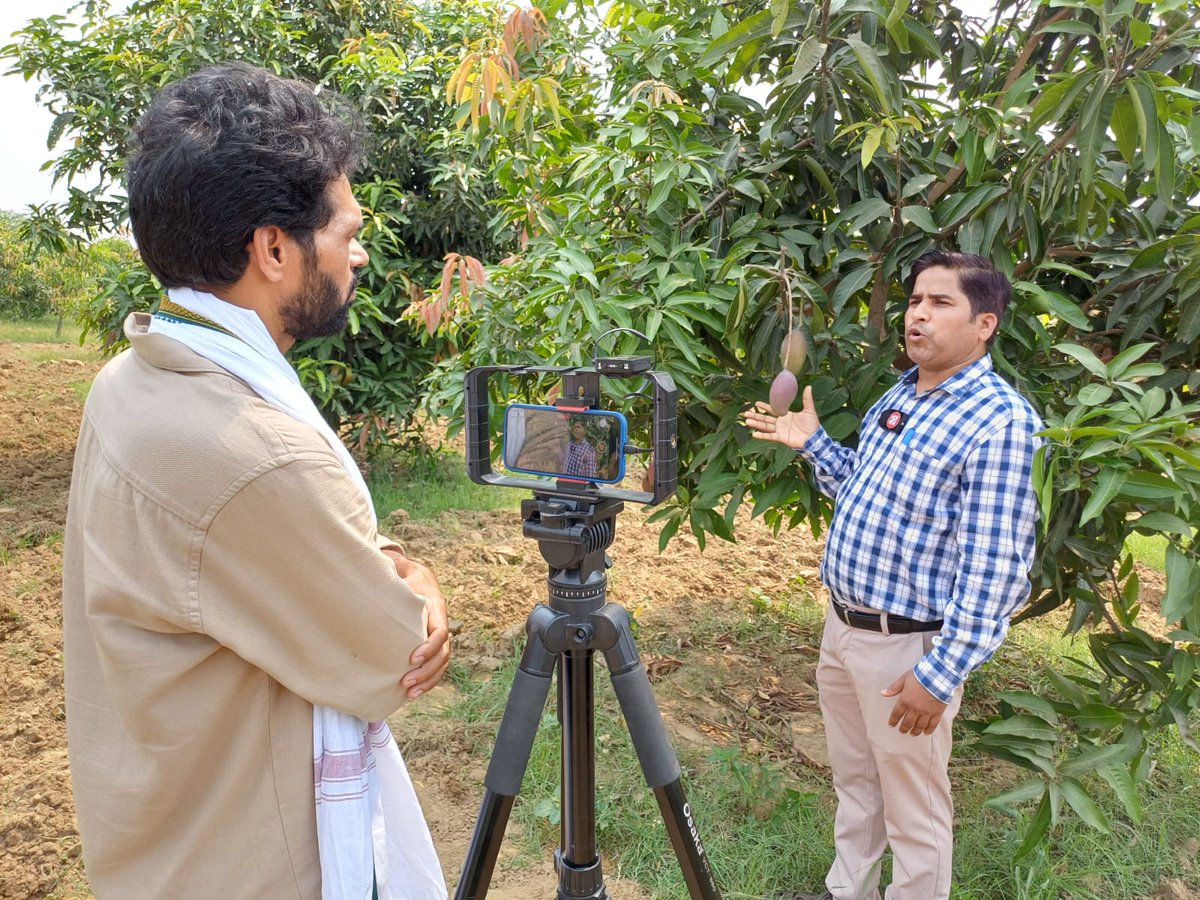 'आम' की एक ख़ास स्टोरी जल्दी ही न्यूज़ पोटली पर #mangoes #आम #NewsPotli