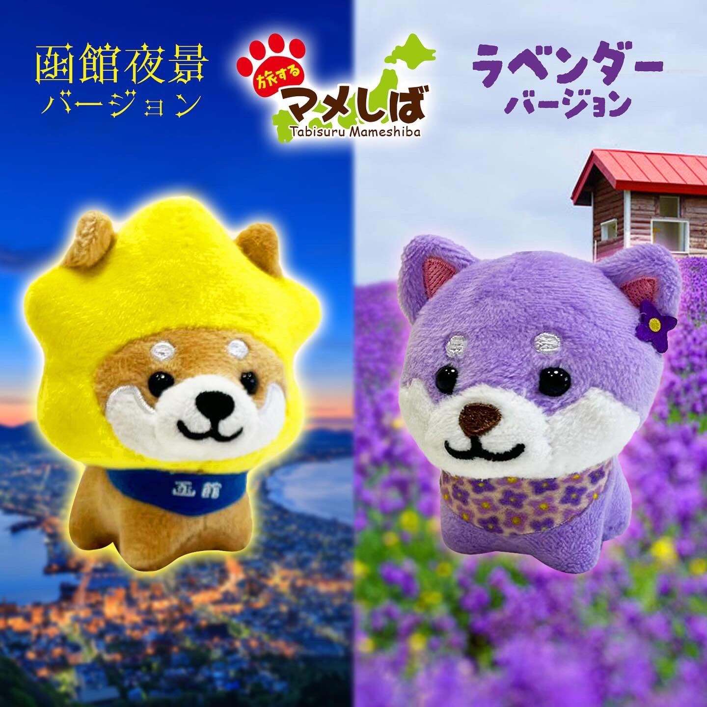 LamPlanning | ⁡ ⁡ ⁡【旅するマメしば〜北海道バージョン