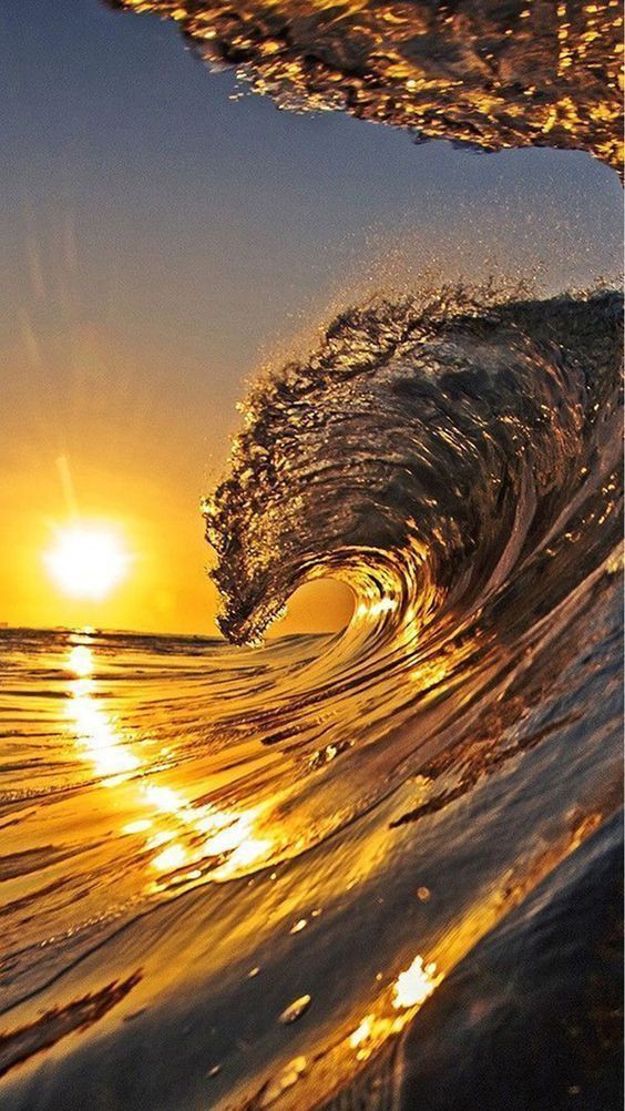This beautiful Blue Wave looks golden ✨️ 💙 ✨️ November 5th is moving in fast Vote 🇺🇸 💙 Happy Friday friends