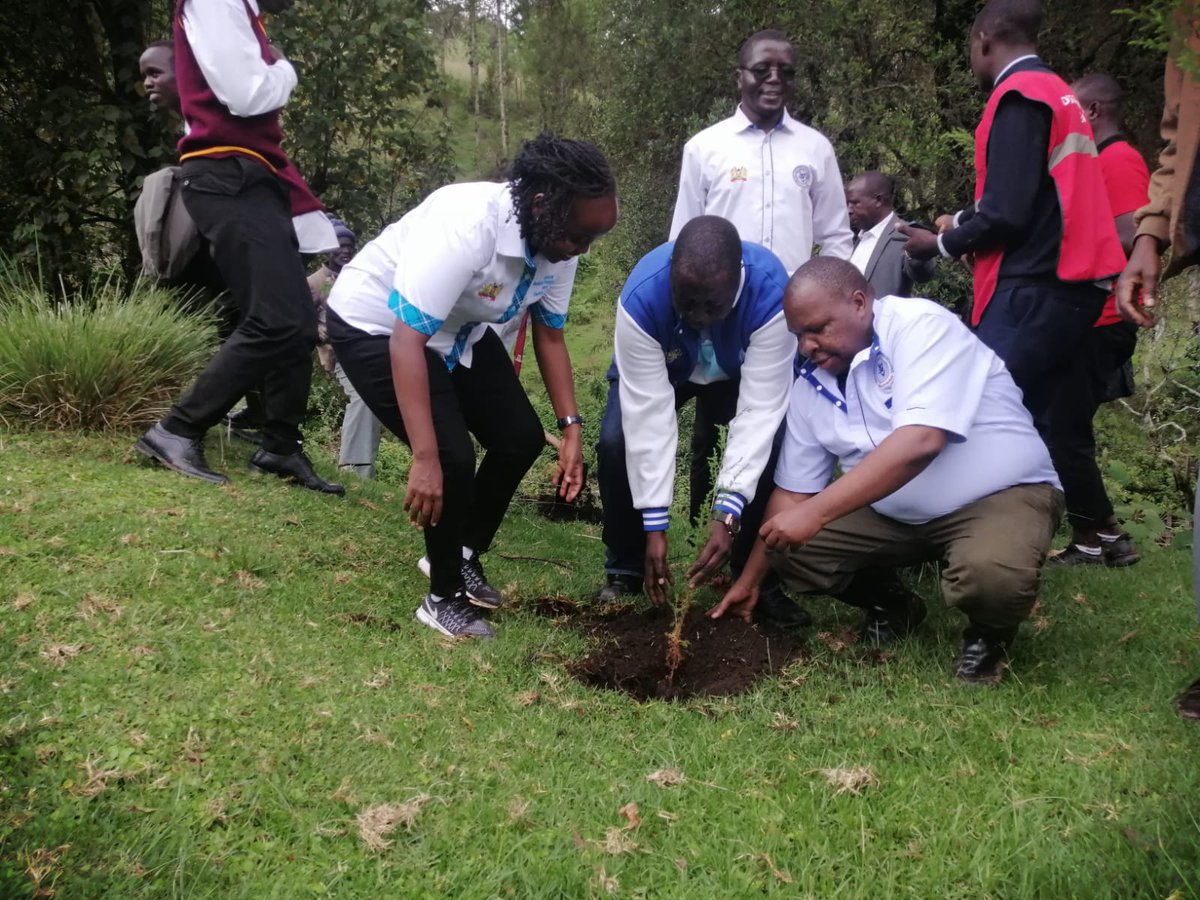 @KmpdcOfficial under the leadership of CEO Dr. David G Kariuki and Council Member Mr. Musa Kiptanui actively participated in today’s National Tree Growing Day Program at Chepkalit Primary School, West Pokot County. Present in West Pokot were @MOH_Kenya Cabinet Secretary Hon.