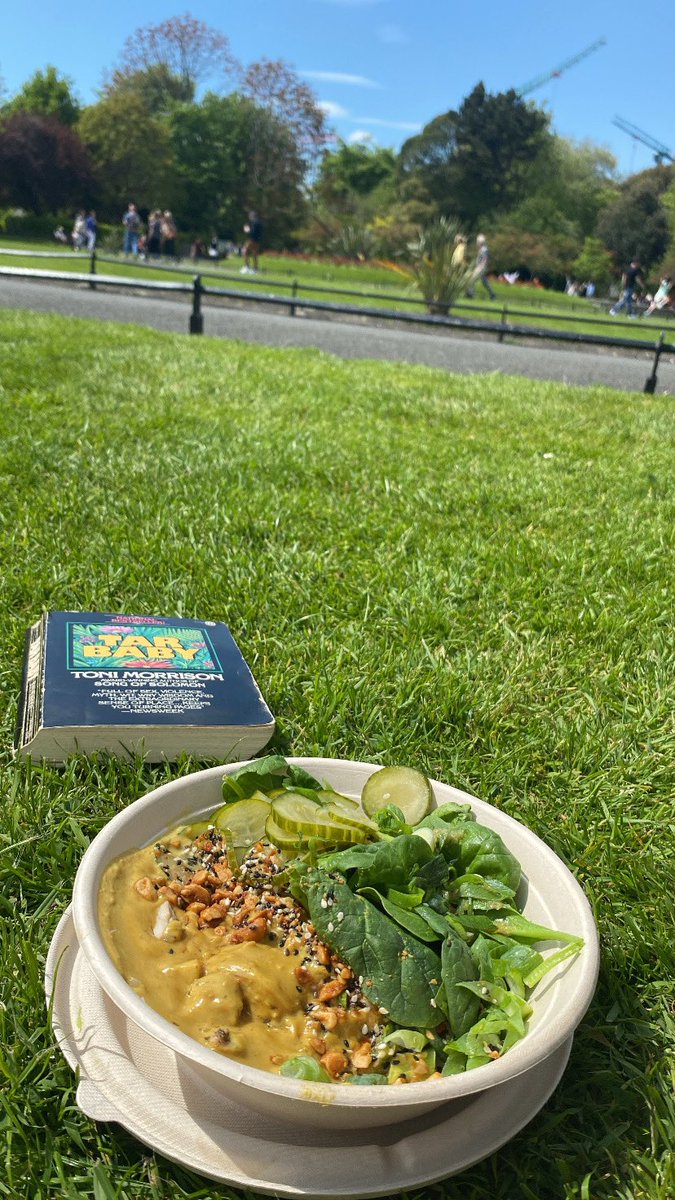 Stephen’s Green, sun and salad bowl. Enough to get me through an afternoon of revisions?