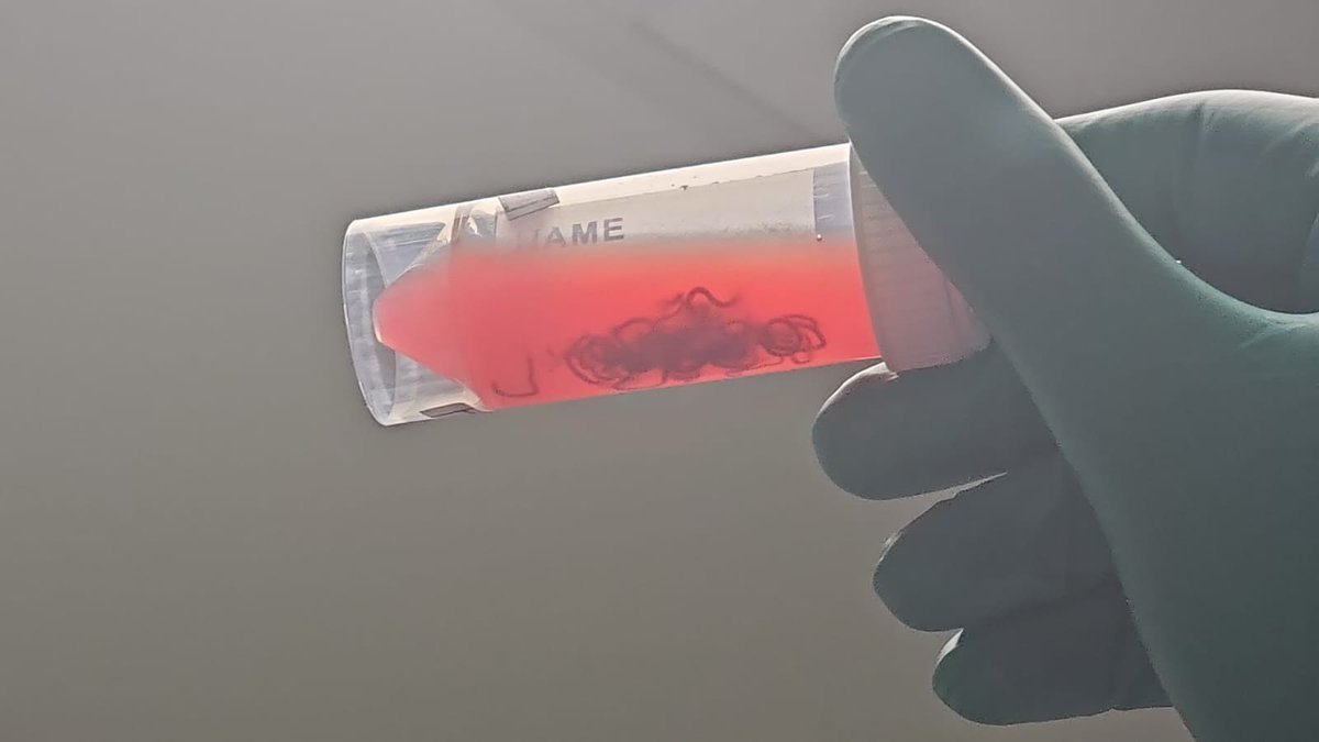 Turki AlAmri |تُرْكي عبدالله الْعَمريَّ MD tweet media