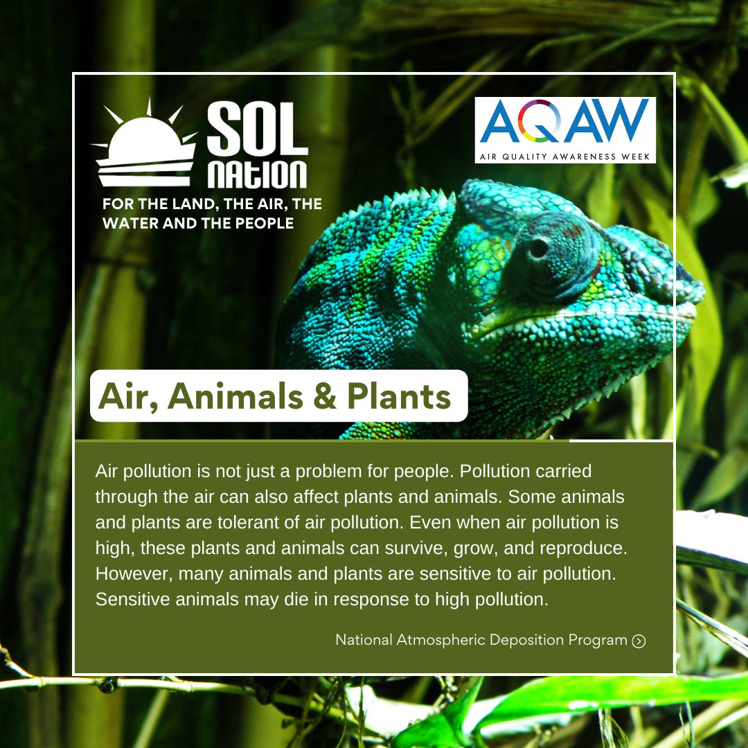 solnationinc tweet media