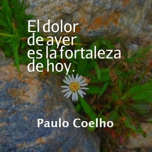 Paulo Coelho Español (@PauloCoelhoDice) on Twitter photo 2024-05-10 12:00:47