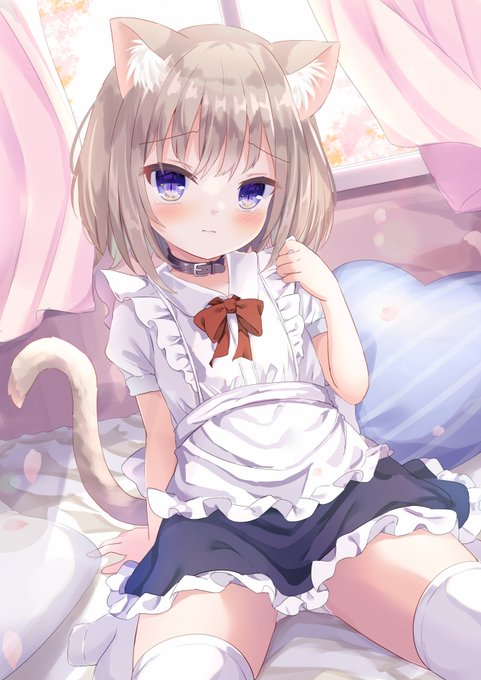 ねこさん
#メイドの日2024 #メイドの日 