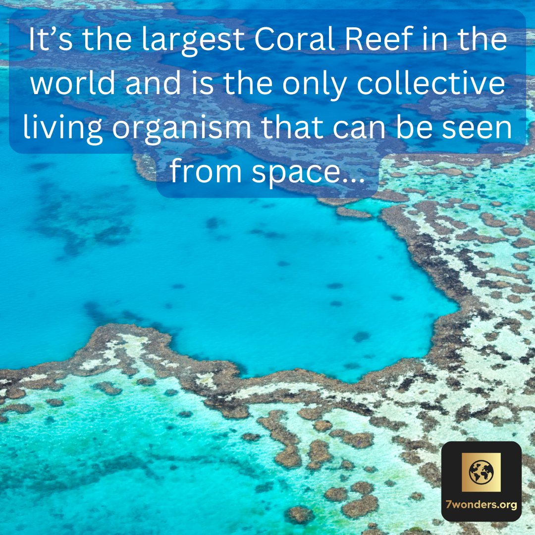 The Great Barrier Reef is a treasure trove of marine life and vibrant coral ecosystems - but it's under threat from climate change! Did you know it's the largest living structure on Earth, visible from space? 🇦🇺 🐠🌊 #GreatBarrierReef #NaturalWonder #BucketListDestination