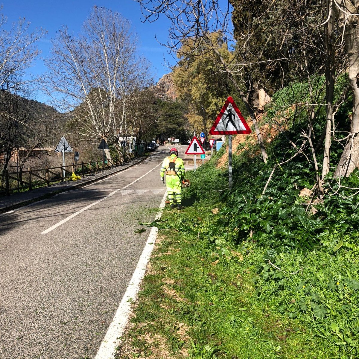 🌿🛣️ Adjudicados los trabajos de desbroce de márgenes en las #carreteras de @AndaluciaJunta en #Almería y #Jaén 🚘 Dotarán a la red viaria de más 🦺#SeguridadVial, mayor visibilidad y menor riesgo de incendio🔥 ➕ℹ️ lajunta.es/4s62j ✅ #Infraestructuras #Andalucía