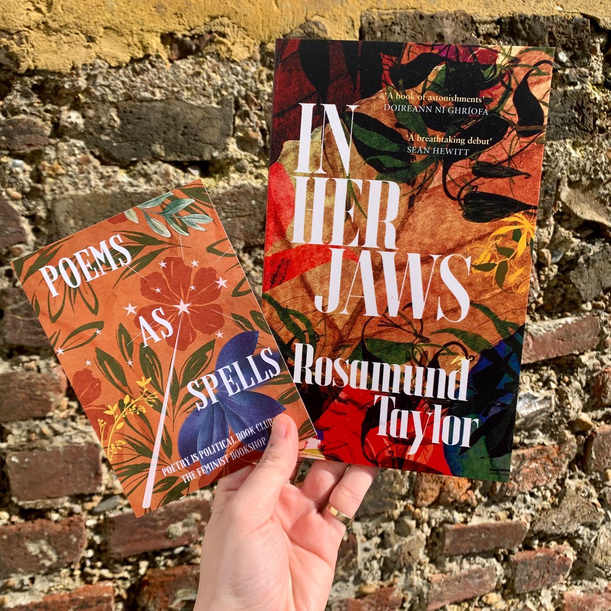 For the next Poetry is Political Bookclub, we wanted to discuss queer love, witches and nature. In Her Jaws by @RosamundTaylor is an astonishing debut collection on reimagined history, the Irish lyric tradition of writing the female perspective, and reclamation of language.