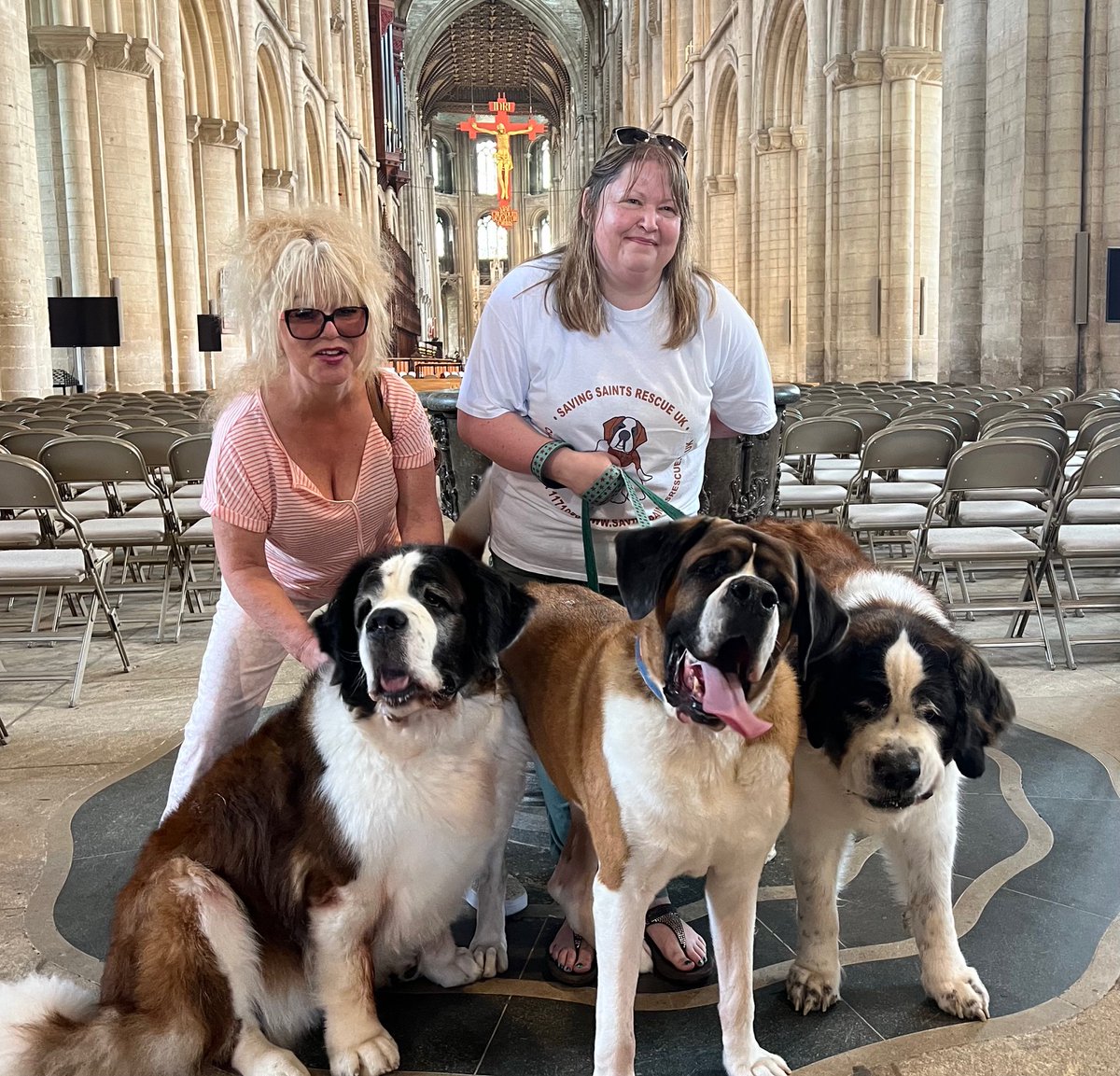 🐶Saving Saints brought their big-hearted St. Bernards to the Cathedral for some furry fun this morning! We celebrated the positive impact of companion animals on mental health as part of Mental Health Awareness Week. Well behaved dogs are always welcome at the Cathedral! 🐾